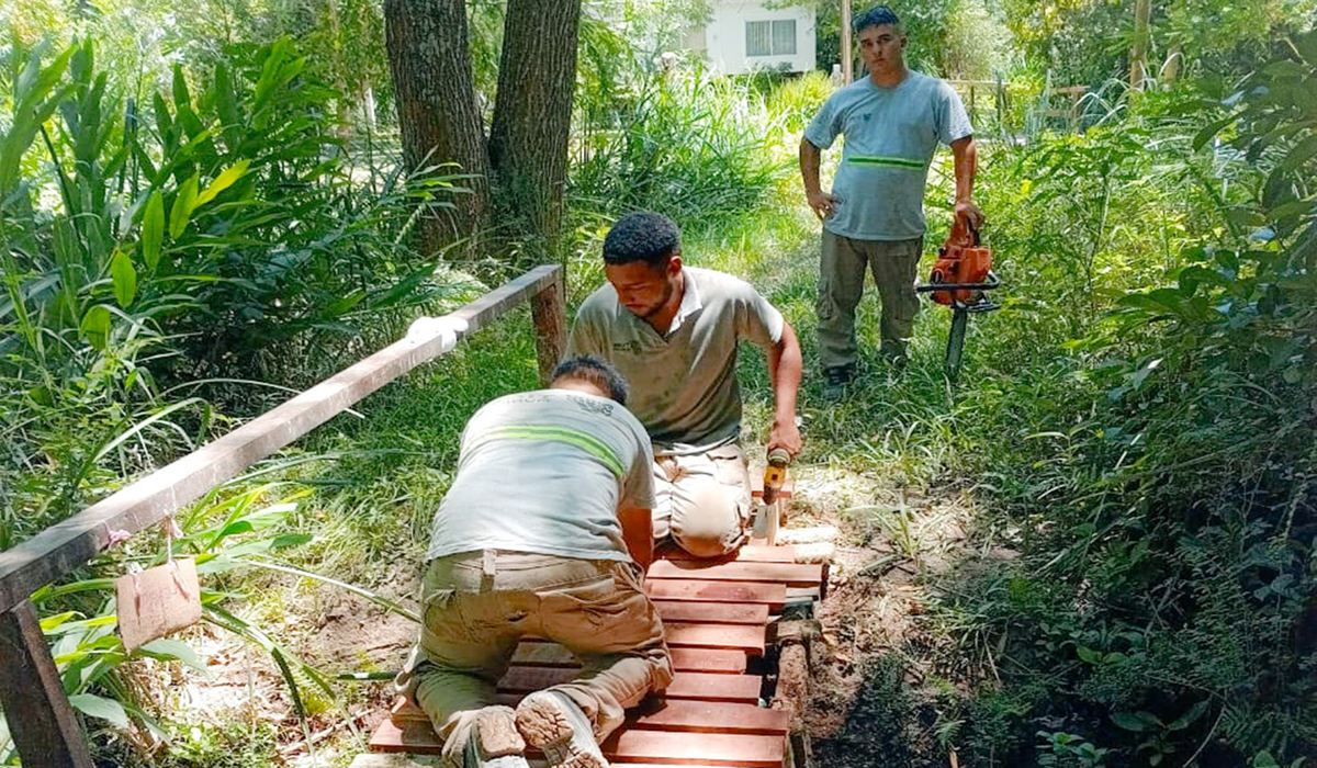 Diagrama técnico de la estructura de un muelle de madera con pilotes y vigas de soporte.